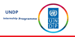 UNDP Denmark Internship 2026 fully funded program details